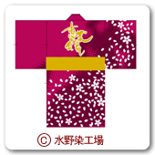 2002よさこい衣装事例-5