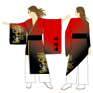 2010よさこい衣装事例-姉妹連