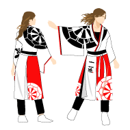 2010よさこい衣装事例-一宮からの風-兆