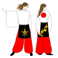 2010よさこい衣装事例-大和連