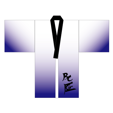 よさこい製作事例2010踊り連BCGF様-1