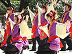 2010年よさこい写真集-佛教大学よさこいサークル紫踊屋