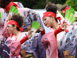 ダンスパフォーマンス集団迫-HAKU-様お写真2014-11