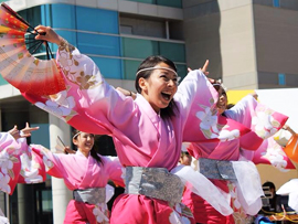 静岡大学お茶ノ子祭々様お写真2014-5