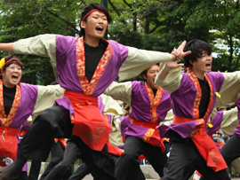 佛教大学よさこいサークル紫踊屋様お写真2014-2