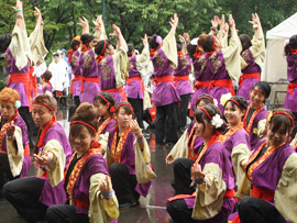 佛教大学よさこいサークル紫踊屋様お写真2014-6