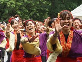 佛教大学よさこいサークル紫踊屋様お写真2014-7