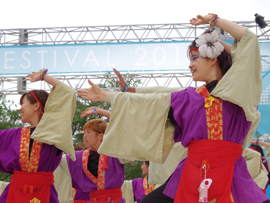 佛教大学よさこいサークル紫踊屋様お写真2014-9