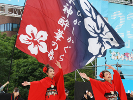 ひがしかぐら東神酔華の舞様お写真2014-4