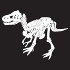 イラストデザイン-恐竜の骨1