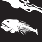 イラストデザイン-魚の骨