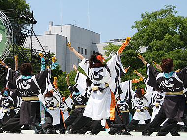 2010年よさこい-心~sin~釧路公立大学様-9