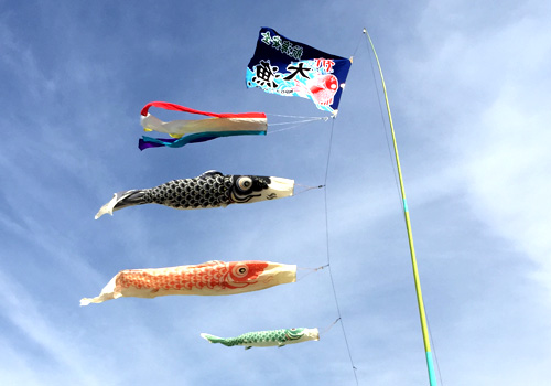 沖縄県のNPO法人ハマスーキ様の大漁旗