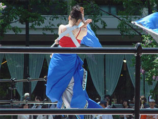 2007年よさこい-嵐舞あいべつ様-5