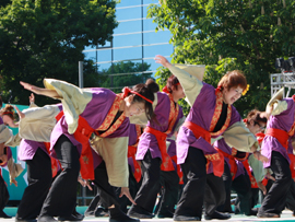 佛教大学よさこいサークル紫踊屋様お写真-2