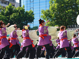 佛教大学よさこいサークル紫踊屋様お写真-3