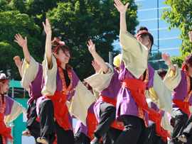 佛教大学よさこいサークル紫踊屋様お写真-4