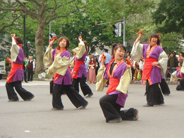 2008年よさこい-佛教大学よさこいサークル紫踊屋様-4