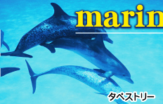 綿生地白フチデザイン見本-旗