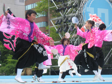 2008年よさこい-旭川華舞輝会様-1