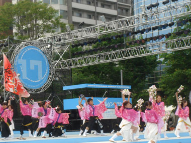 2008年よさこい-旭川華舞輝会様-14