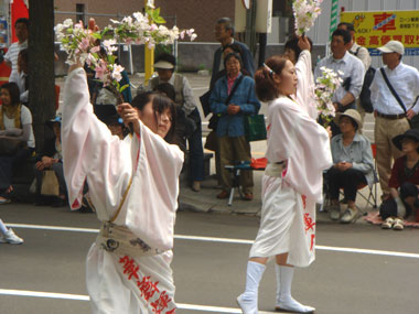 2008年よさこい-旭川華舞輝会様-18