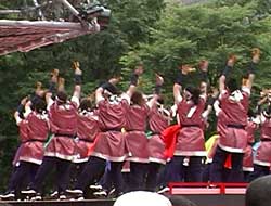 2002年よさこい-根室四島踊り隊様-10