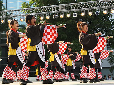 2010年よさこい-祭援隊しらたき様-10