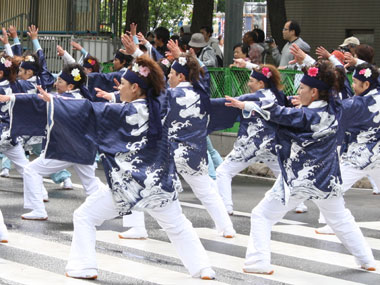 2009年よさこい-夜咲恋そぅらんサムライ士別with三好町様-15