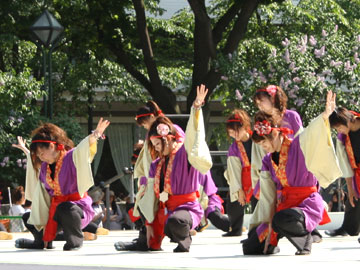 2010年よさこい-佛教大学よさこいサークル紫踊屋様-4
