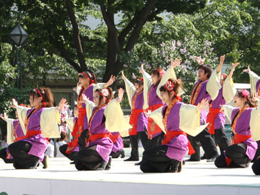 2010年よさこい-佛教大学よさこいサークル紫踊屋様-5