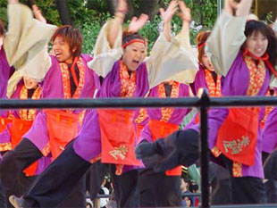 2007年よさこい-佛教大学よさこいサークル紫踊屋様-7