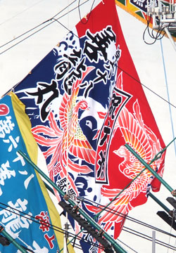 駄羅会様の進水祝い大漁旗お写真