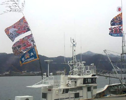 小國様の進水祝い大漁旗お写真