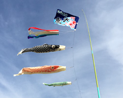 NPO法人ハマスーキ様の節句祝い大漁旗お写真