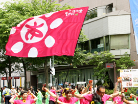 あしたもハレヤ!様お写真2015-5