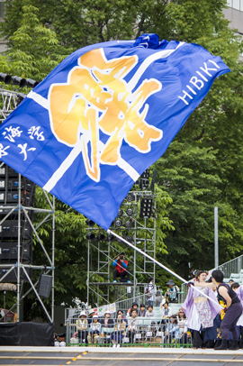 東海大学よさこいサークル響様お写真2015-6