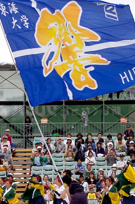 東海大学よさこいサークル響様お写真2015-6