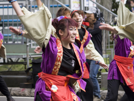 佛教大学よさこいサークル紫踊屋様お写真2015-1