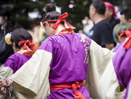 佛教大学よさこいサークル紫踊屋様お写真2015-4