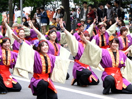 佛教大学よさこいサークル紫踊屋様お写真2015-6