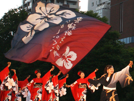 ひがしかぐら東神酔華の舞様お写真2015-8