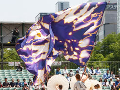 龍谷大学華舞龍様お写真2016-3