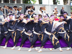 ひがしかぐら東神酔の華様お写真2016-1