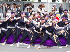 ひがしかぐら東神酔の華様お写真2016-2