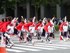 ひがしかぐら東神酔の華様お写真2016-3