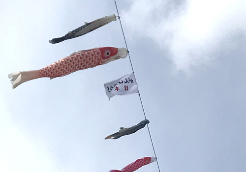 鯉のぼりと一緒に弊社の旗を掲げていただきました！