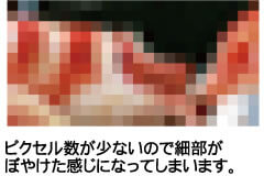 ピクセル数が少ないので細部がぼやけた感じになってしまいます。